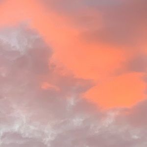 Meet your Posher, Kyra